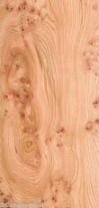ELM_BURL_22306-3_1.jpg