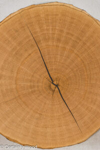 ENDGRAIN_OAK_24446_1.jpg