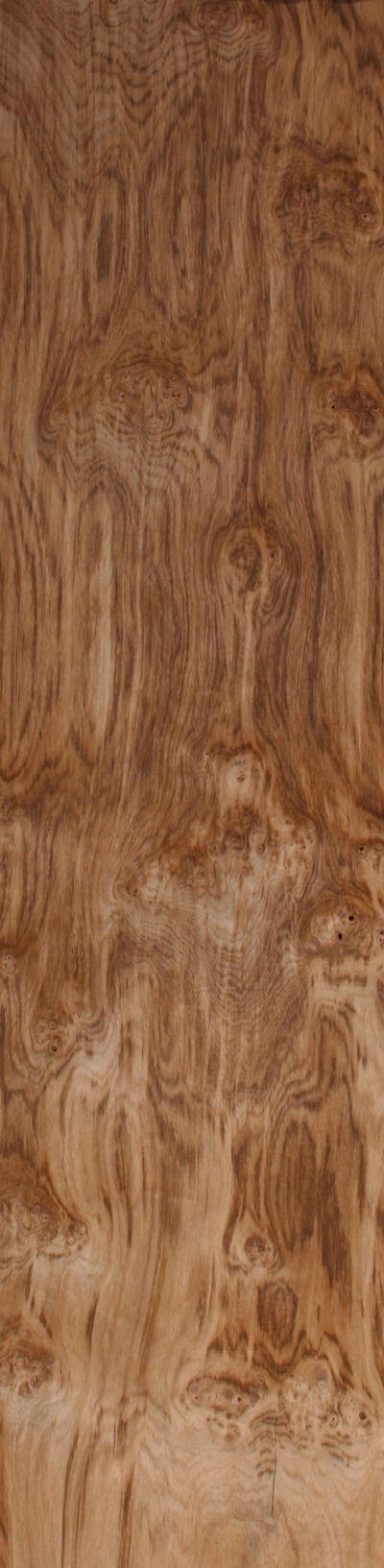 Featured Product Image