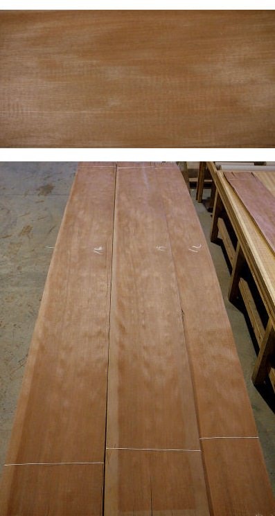 Featured Product Image