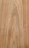 FR_Walnut_1301-2_1.jpg