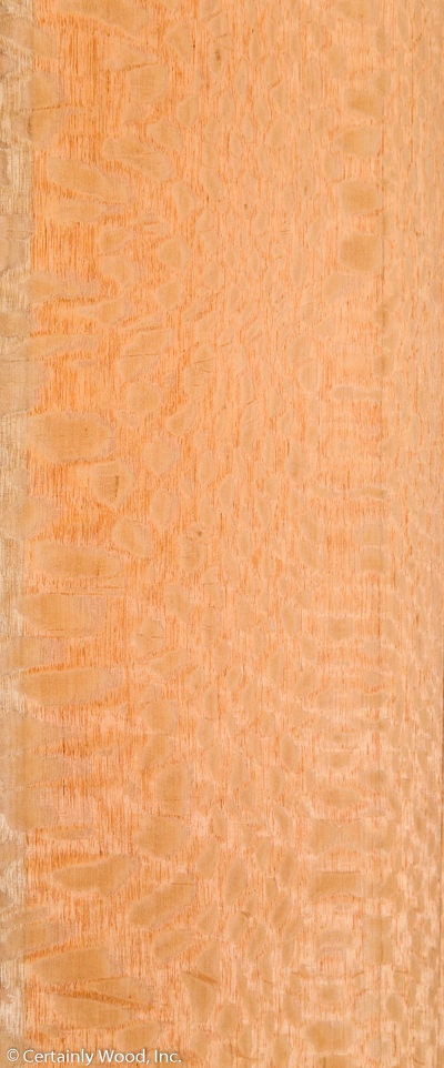 Featured Product Image