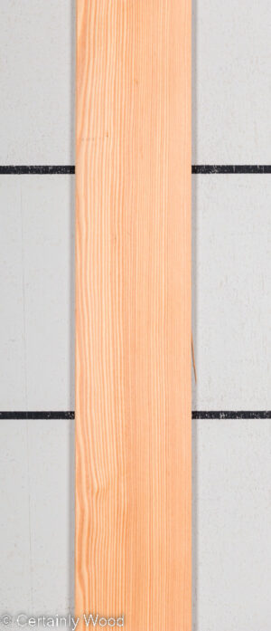 LARCH 22328-5