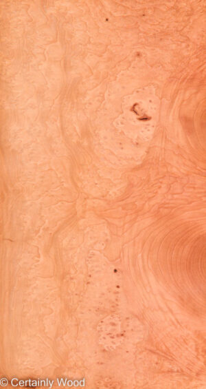 MADRONE BRL 22291-2C