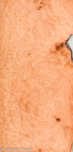 MADRONE BRL 22291-4C