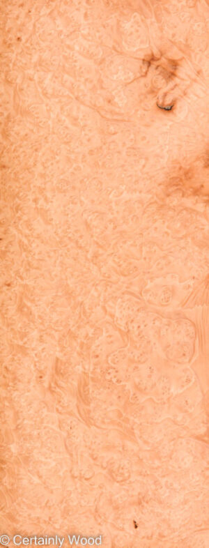 MADRONE BRL 22291-4D