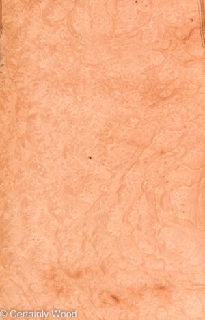 MADRONE BRL 22291-5B