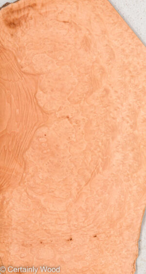 MADRONE BRL 22291-6B