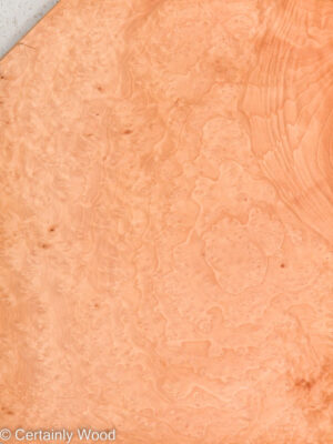 MADRONE BRL 22291-6D