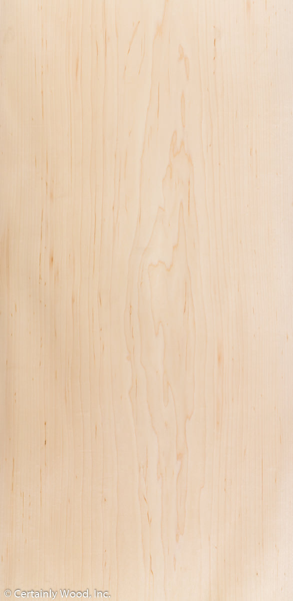 MAPLE_20295_01.jpg