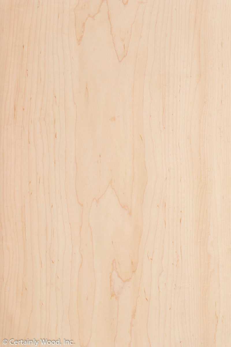 MAPLE_21239_1.jpg