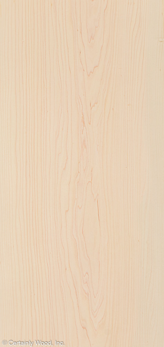 MAPLE_22027_1.jpg