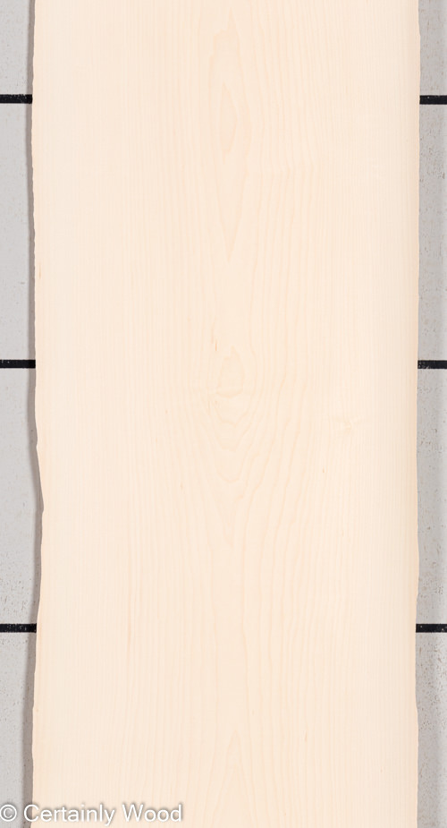 MAPLE_22028_1.jpg