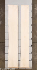 MAPLE_22028_2.jpg