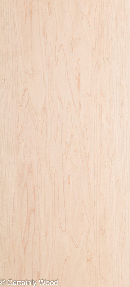 MAPLE_22222_1.jpg
