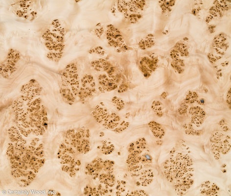 MAPPA_BURL_1501_01.jpg