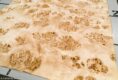 MAPPA_BURL_1501_02.jpg