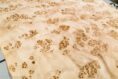 MAPPA_BURL_1501_03.jpg