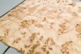 MAPPA_BURL_1501_04.jpg