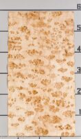 MAPPA_BURL_1501_07.jpg