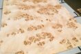 MAPPA_BURL_1501_09.jpg