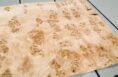 MAPPA_BURL_1501_10.jpg