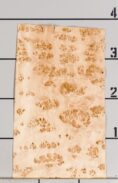 MAPPA_BURL_1501_12.jpg