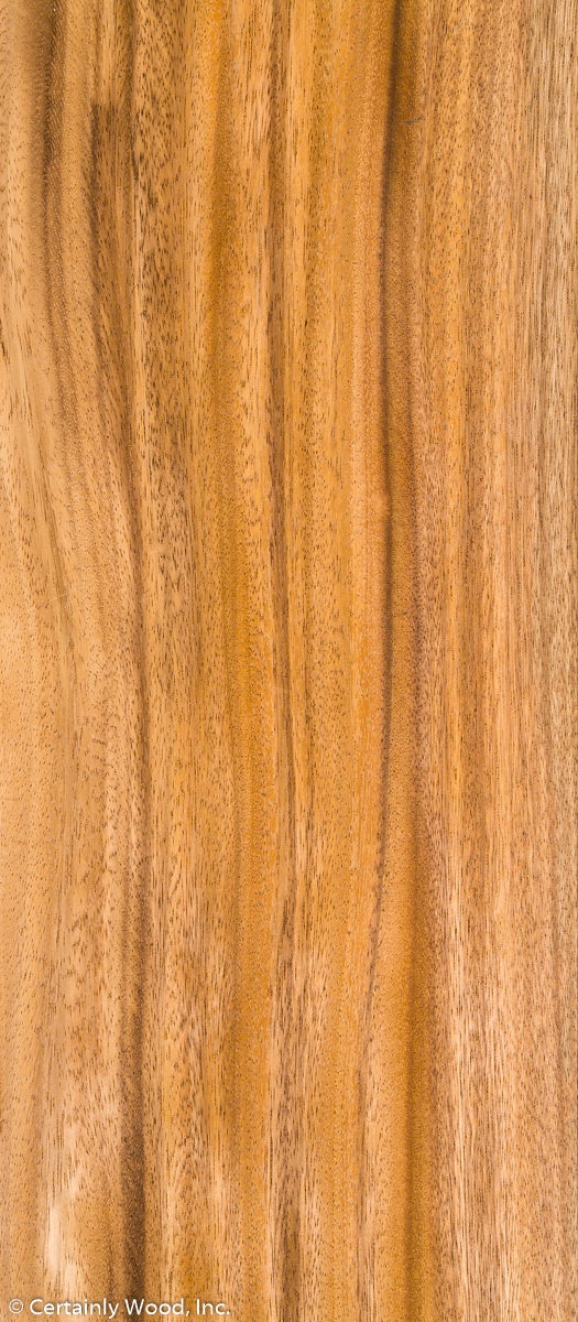 Featured Product Image