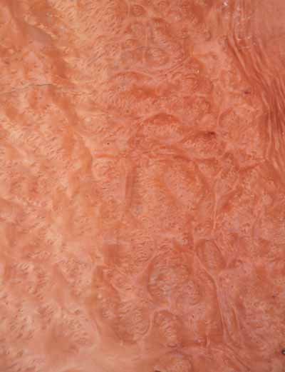 Madrone_Burl_1102-1_1.jpg