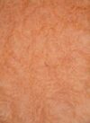 Madrone_Burl_1102-2_1.jpg
