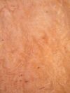 Madrone_Burl_1102-3_1.jpg