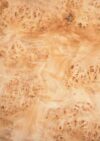 Mappa_Burl_1202-1_1.jpg
