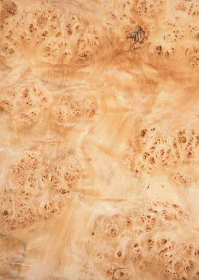 Mappa_Burl_1202-1_1.jpg