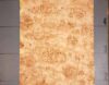 Mappa_Burl_1202-1_2.jpg