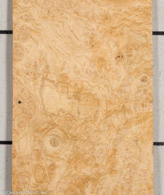 OAK_BURL_21452-15_1.jpg