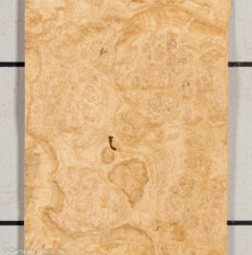 OAK_BURL_21452-16B_1.jpg