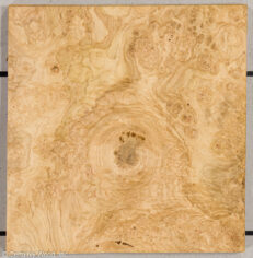 OAK_BURL_21452-17_1.jpg
