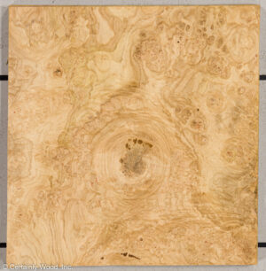 OAK BURL 21452-17