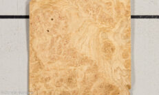 OAK_BURL_21452-22_1.jpg