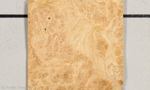 OAK BURL 21452-22