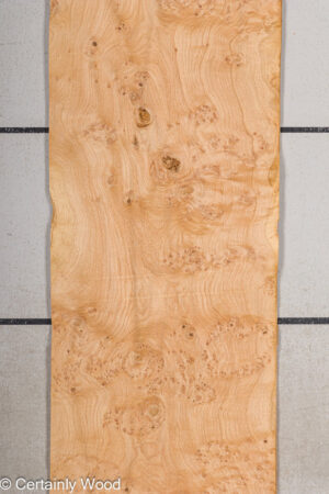 OAK BURL 21502-12