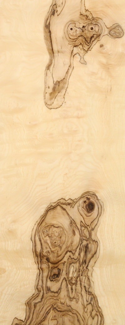 Featured Product Image