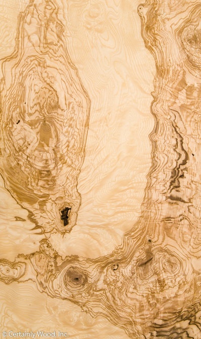 Featured Product Image