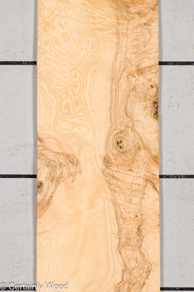 O ASH BURL 24125-04