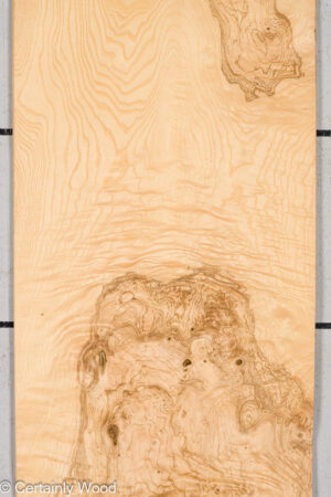 O ASH BURL 24125-06F