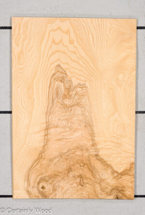 O ASH BURL 24125-08A