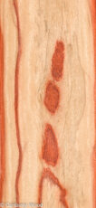 PADAUK_22296-1B_1-1.jpg