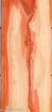 PADAUK_22296-1E_1-1.jpg