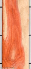 PADAUK_22296-1F_1-1.jpg