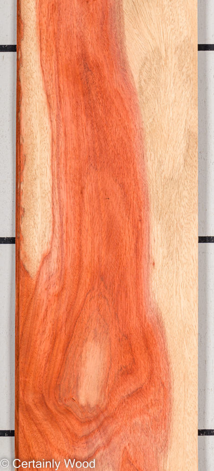 PADAUK_22296-1F_1-1.jpg